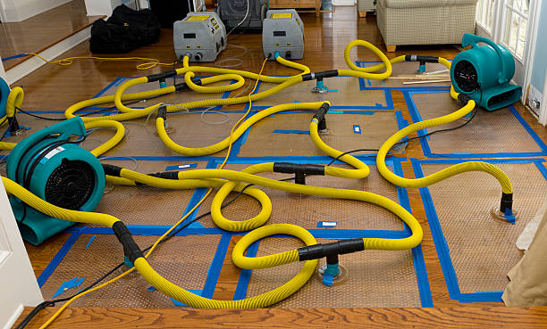 Professional Water Damage Repair technician working in Hamilton, IL